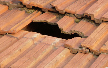roof repair Wyken